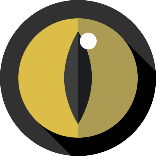 Watchface Privacy