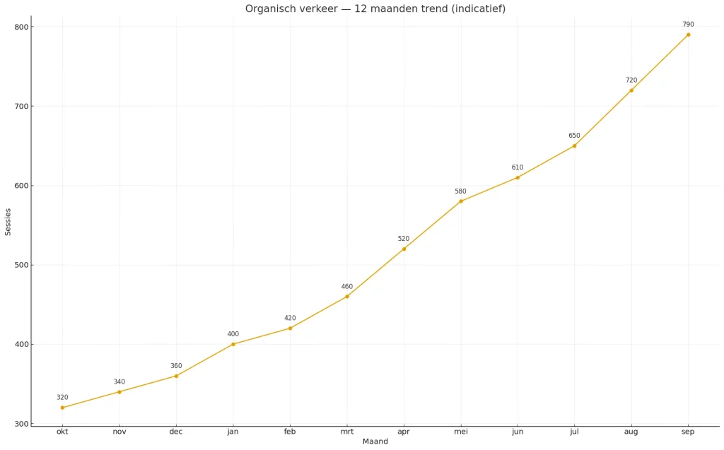 Wat kost een website? Complete gids met prijzen, voorbeelden en keuzes 5 Dashboard-achtige lijntrend van organisch verkeer over 12 maanden met datalabels per maand.
