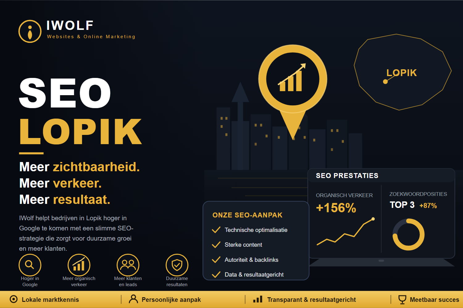 Expert in Lopik