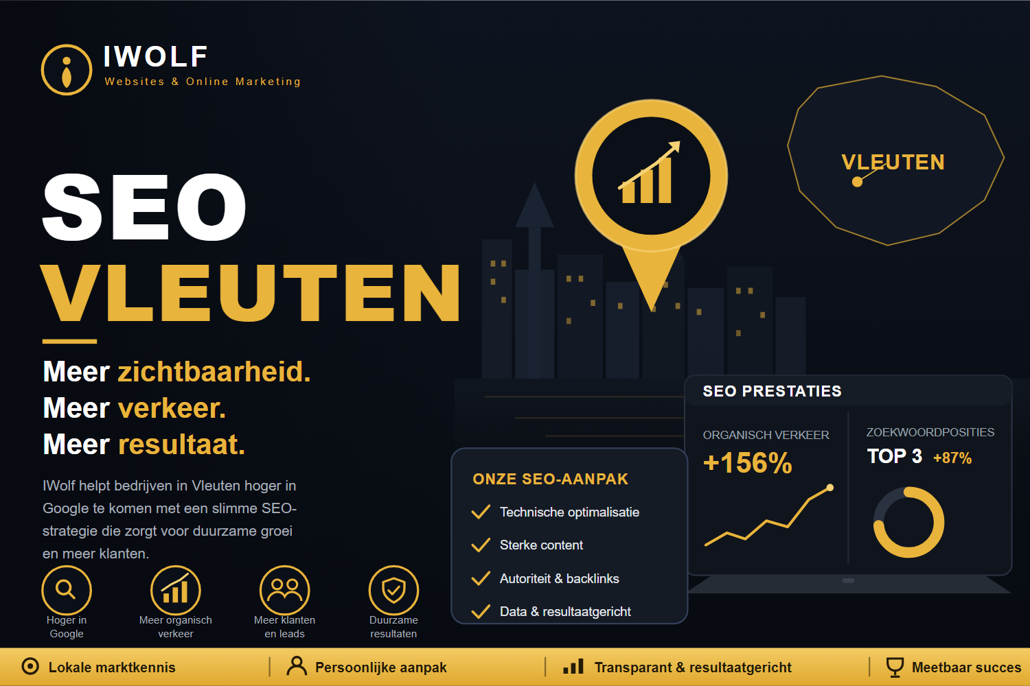 Expert in Vleuten