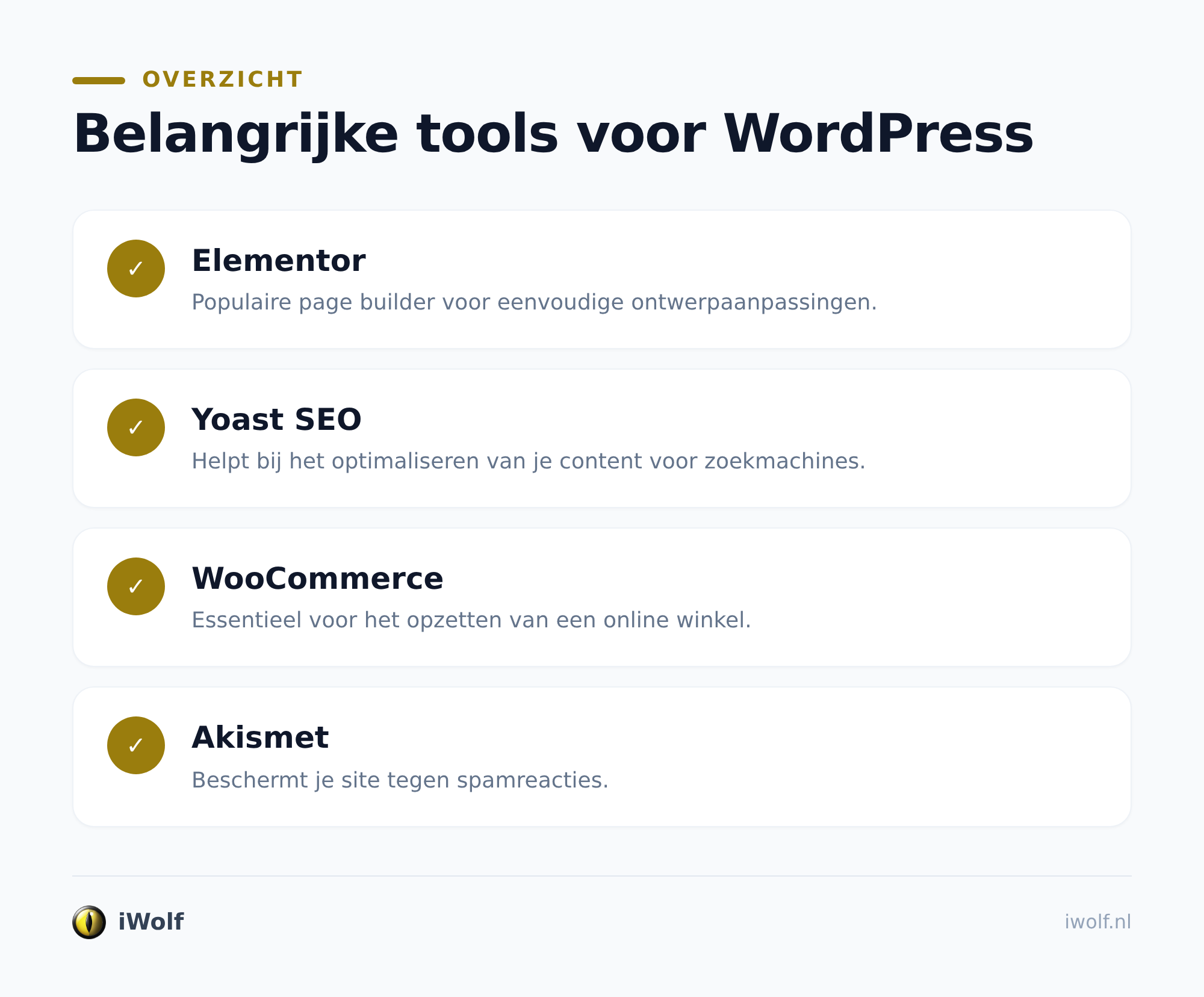 Kies hosting, domein en techniek met beleid